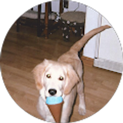 Profile photo of Susan S