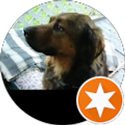 Profile photo of Bobby Goedecke