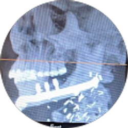 Profile photo of Judi Wisecup