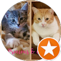 Profile photo of emp