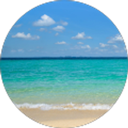 Profile photo of Nicole D