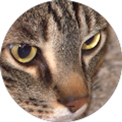 Profile photo of Hunter Tanner