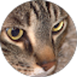 Profile photo of Hunter Tanner