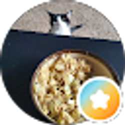 Profile photo of Jazmon Roberts