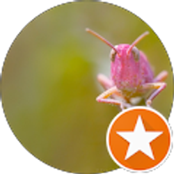 Profile photo of Tara Mettler