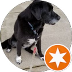 Profile photo of Jim Hennessy