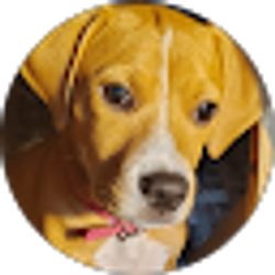 Profile photo of Moose 8277