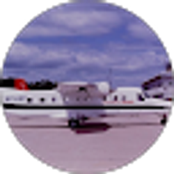 Profile photo of AMML