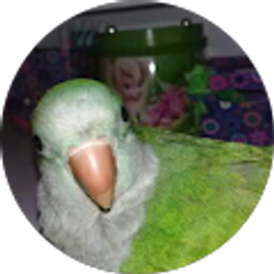 Profile photo of Mavi S