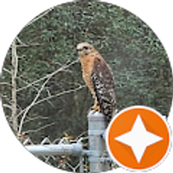 Profile photo of Josh Jarman