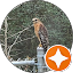 Profile photo of Josh Jarman