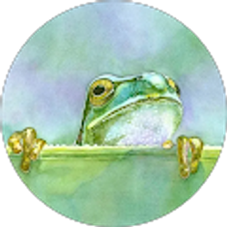 Profile photo of Maria Galvan