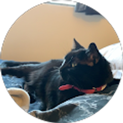 Profile photo of Paige Catlady