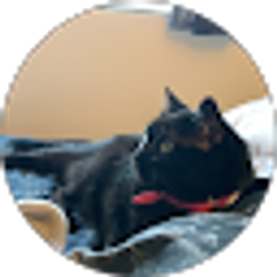 Profile photo of Paige Catlady