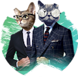 Profile photo of Jerry Cohen