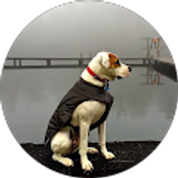 Profile photo of Adam Ray