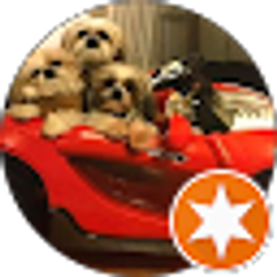 Profile photo of Nancie Ferencik