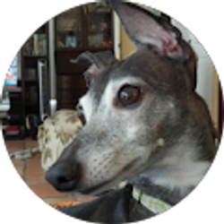 Profile photo of Susan Sanders
