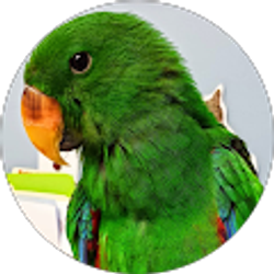 Profile photo of Sharon Littell