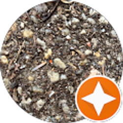 Profile photo of Christine Sajecki