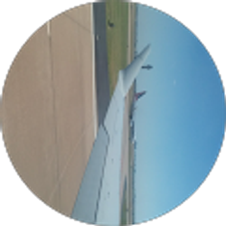 Profile photo of Terri Lester