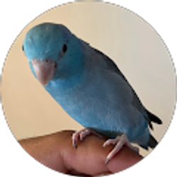 Profile photo of Braylin