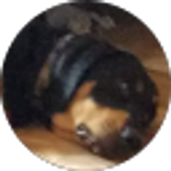 Profile photo of Allison Karpillo