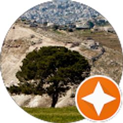 Profile photo of Rasha Mhmoud