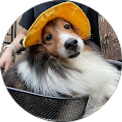 Profile photo of Chelsea Aurelia