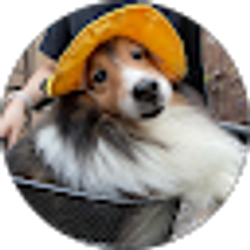 Profile photo of Chelsea Aurelia