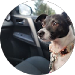 Profile photo of Tina Liszewski