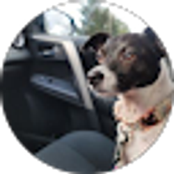 Profile photo of Tina Liszewski