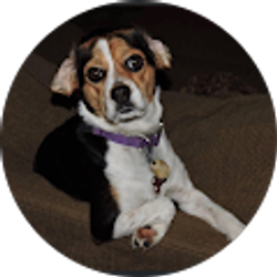 Profile photo of Sweetest Melissa