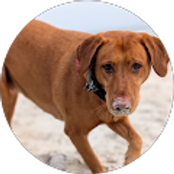 Profile photo of April Whitfield