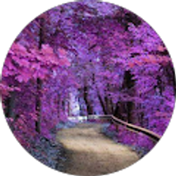 Profile photo of Connie Ketelhut