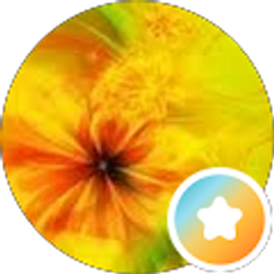 Profile photo of Julie Stansel