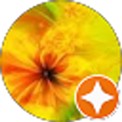 Profile photo of Julie Stansel