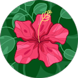 Profile photo of Donna Enzminger