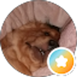 Profile photo of Kimberly Emery