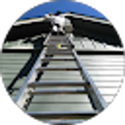 Profile photo of Rafael r