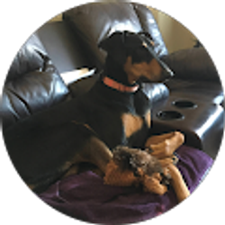 Profile photo of Terry Meyer