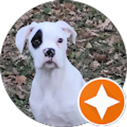 Profile photo of Nancy Funk