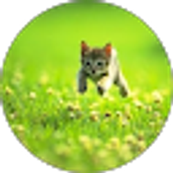 Profile photo of Media List
