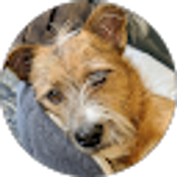 Profile photo of Justin Buckingham