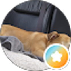 Profile photo of Personal
