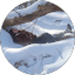Profile photo of Alexia Neil