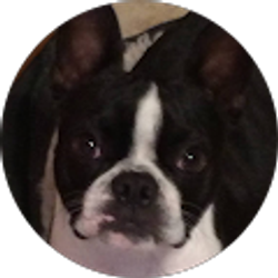 Profile photo of JUSTINE