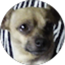 Profile photo of terry clemmons