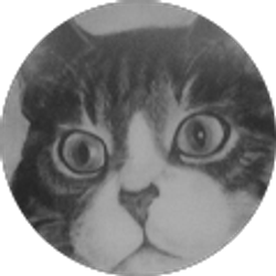 Profile photo of Deanne Mallorey