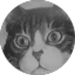 Profile photo of Deanne Mallorey